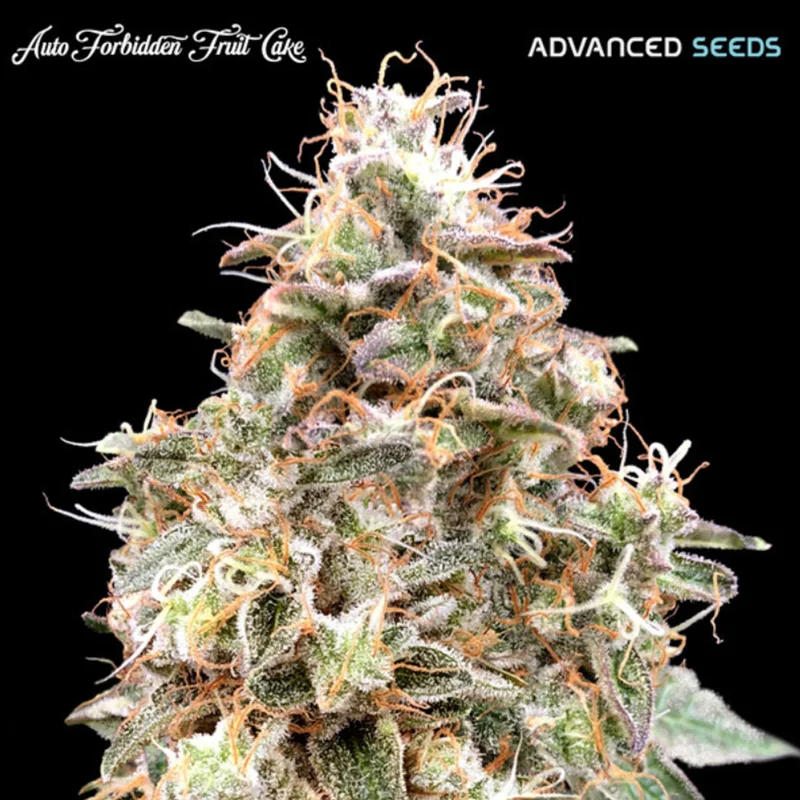 saltonverde2859884