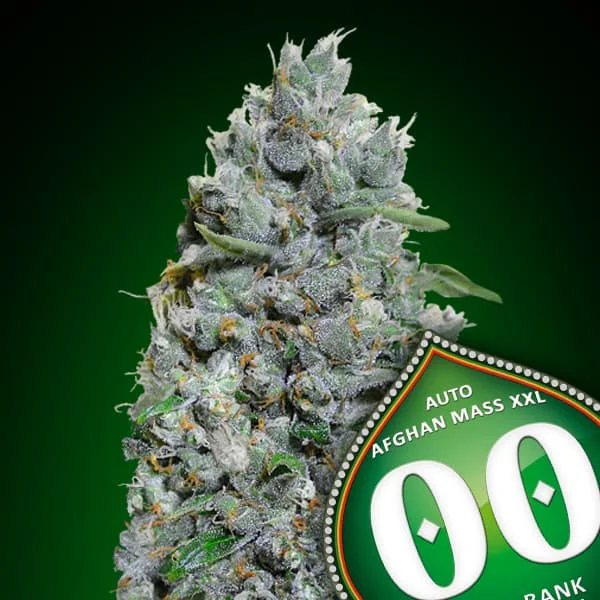 saltonverde2861301