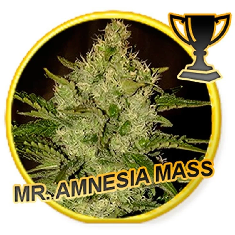saltonverde2880760