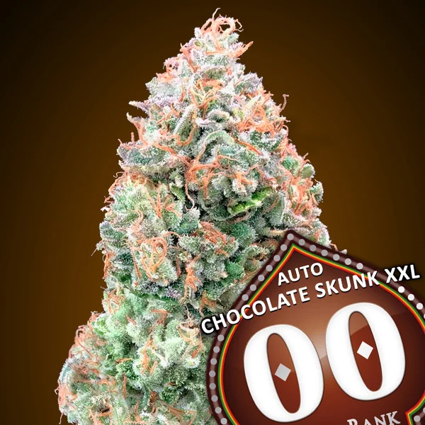 saltonverde2896096
