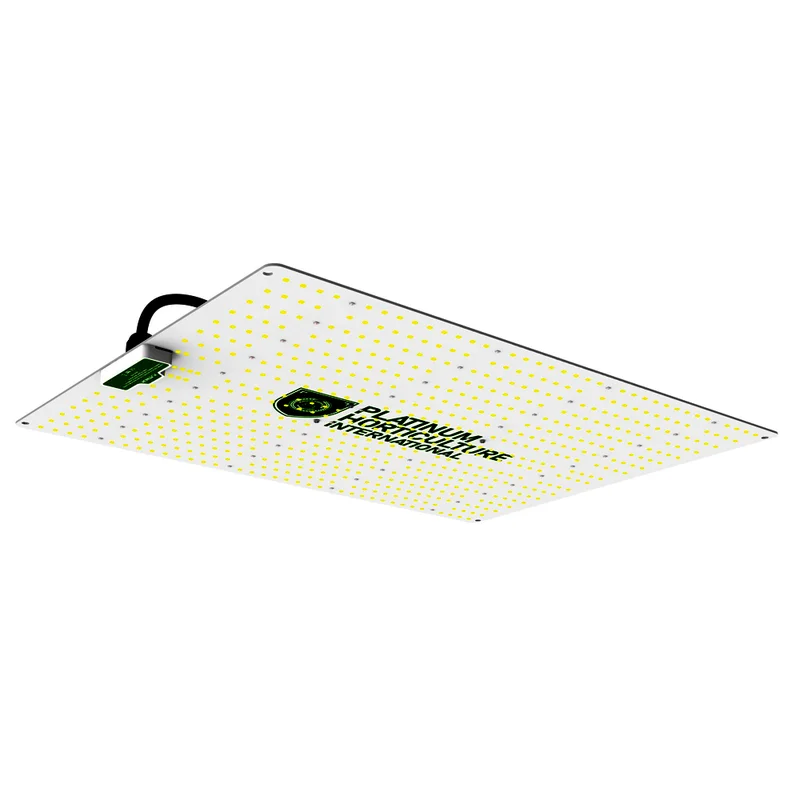 saltonverde2896268