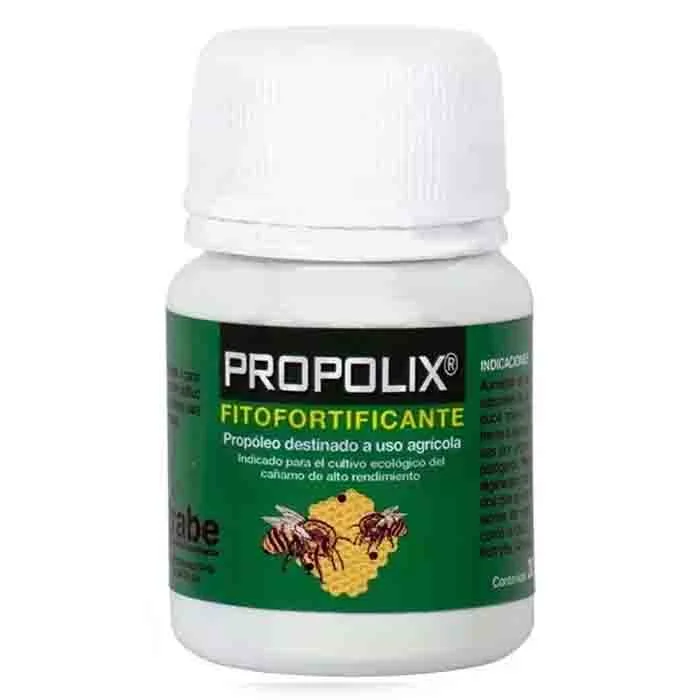 saltonverde2898769