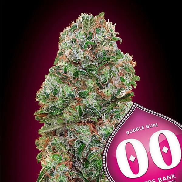 saltonverde2900052