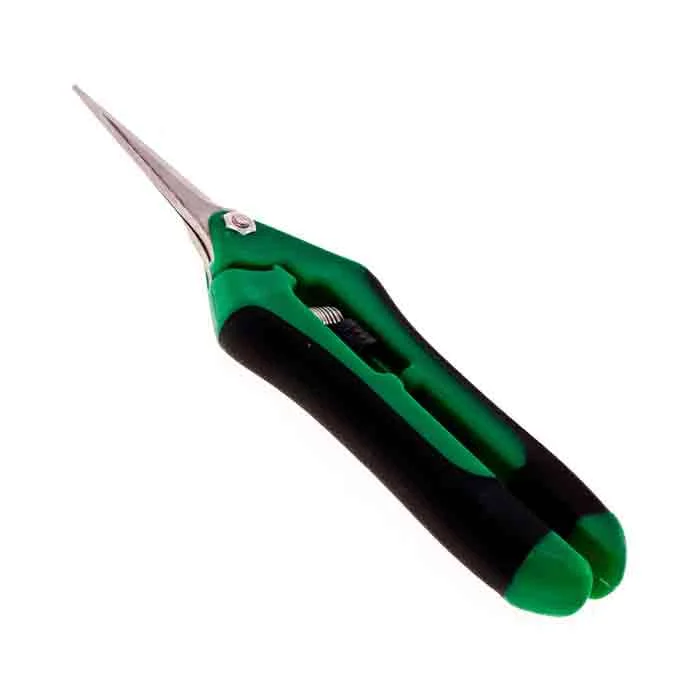 saltonverde2900664