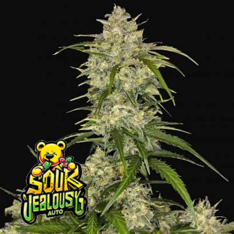 saltonverde2903992