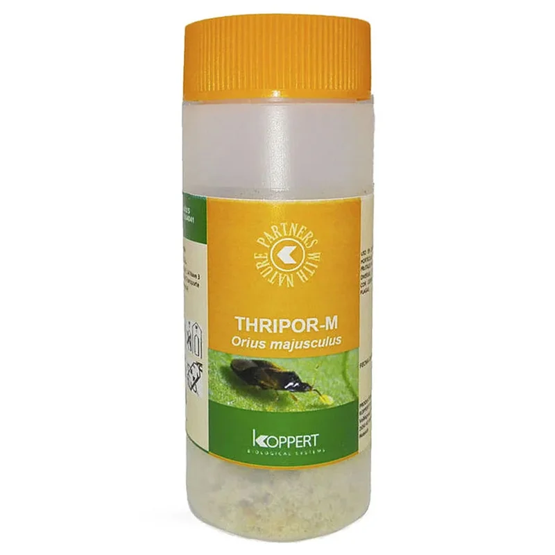 saltonverde2906037
