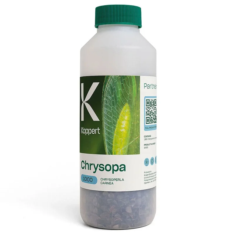 saltonverde2906305