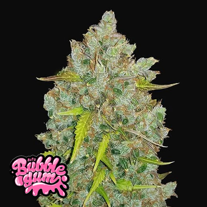 saltonverde2908753