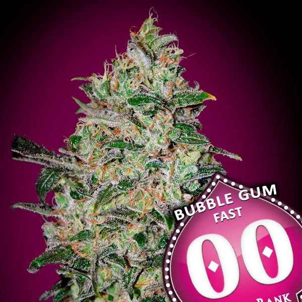saltonverde2909511
