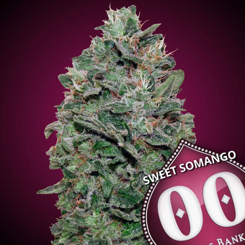 saltonverde2917676