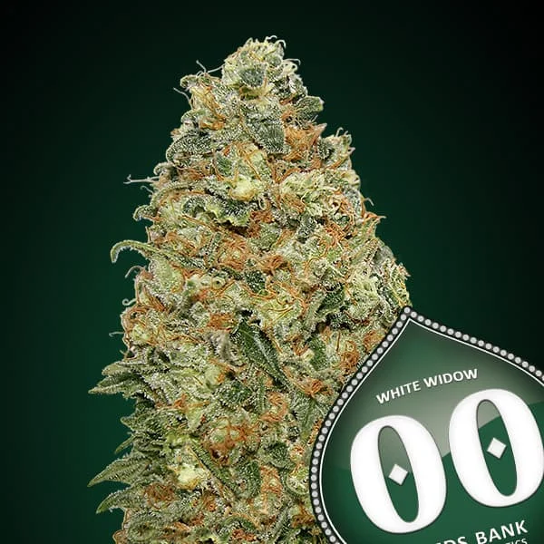 saltonverde2927198