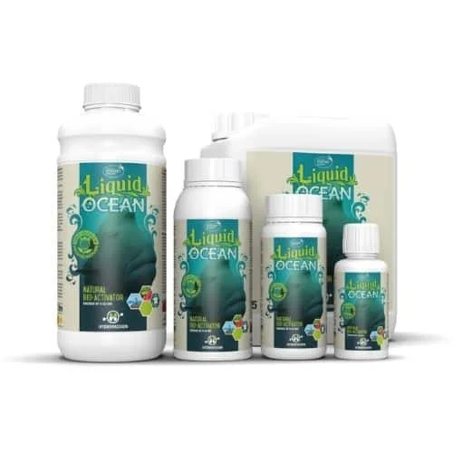tchoukarshop2755603